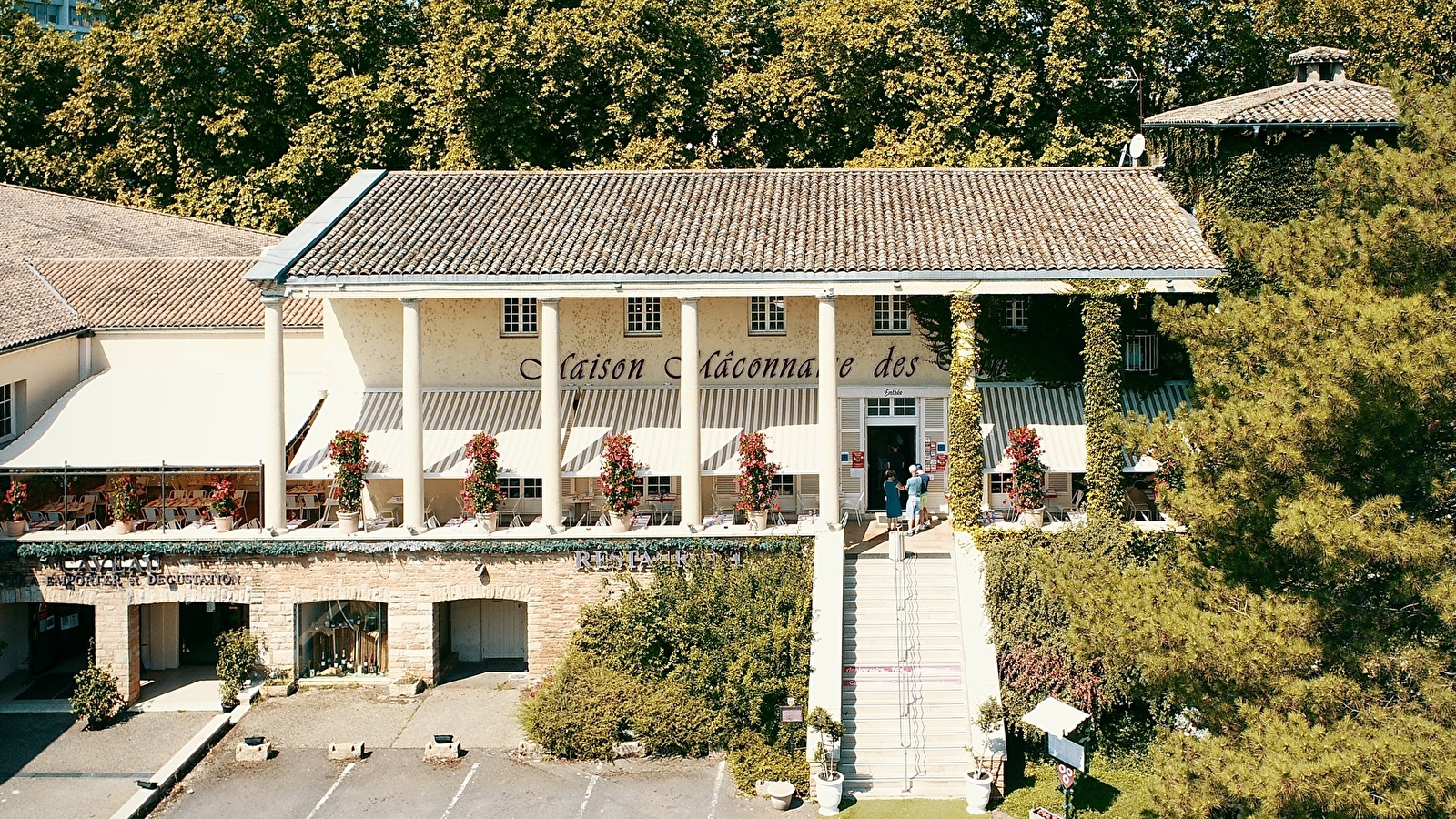 Maison Mâconnaise des Vins