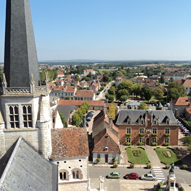 Excursion : Auxonne et château de Talmay