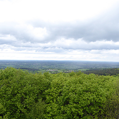 Le Signal de Mont