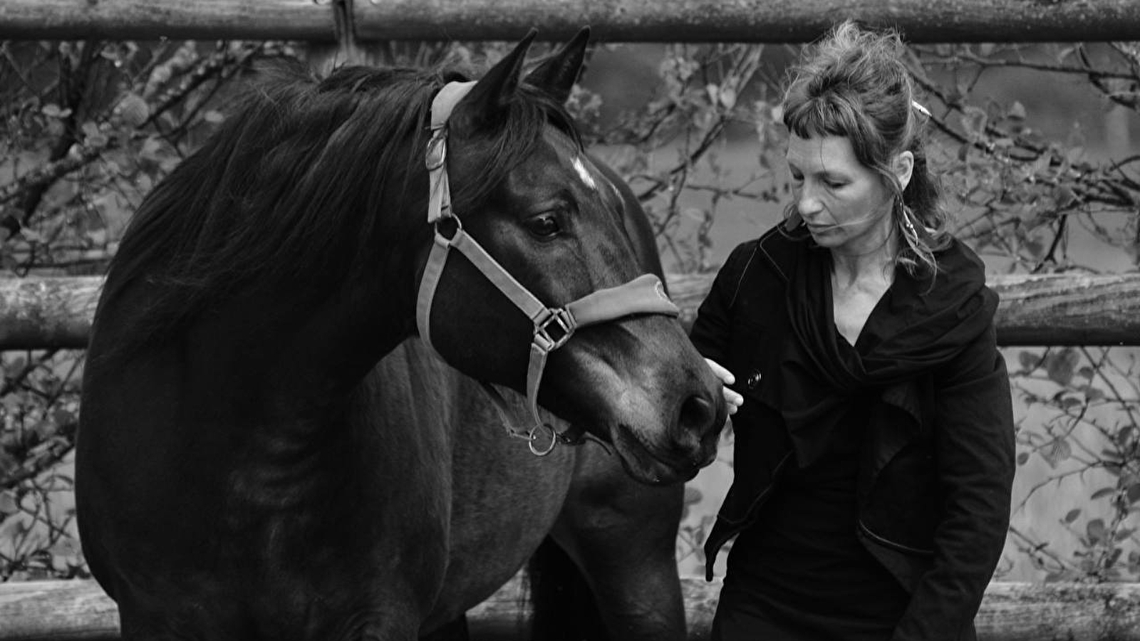 VOYAGE AU PAYS DU CHEVAL