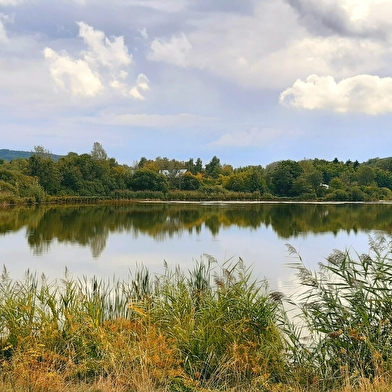 Circuit Jurassic Vélo Tours n°44 - Entre Cascade de Charabotte et Marais de Vaux