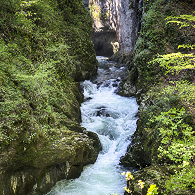 Gorges de la Langouette