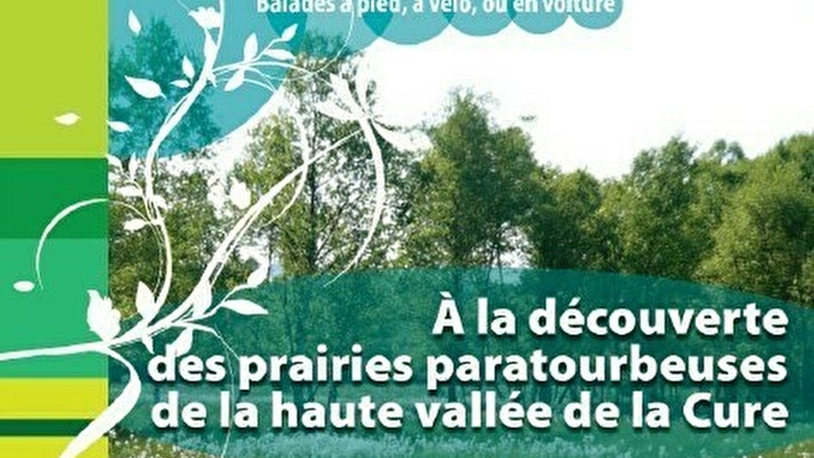 A la découverte des prairies paratourbeuses de la haute vallée de la Cure 