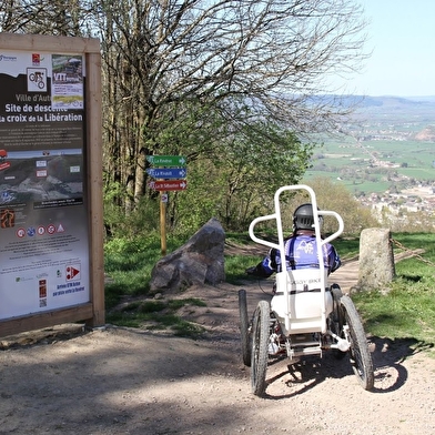 Site de piste de descente VTT