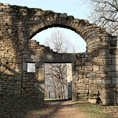 Château médiéval de Montfaucon