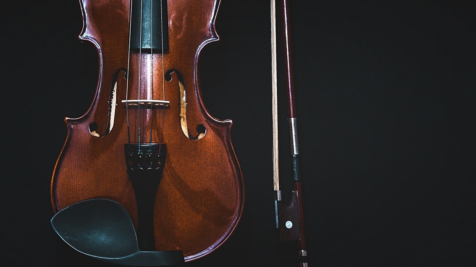 Une soirée musicale à Vienne