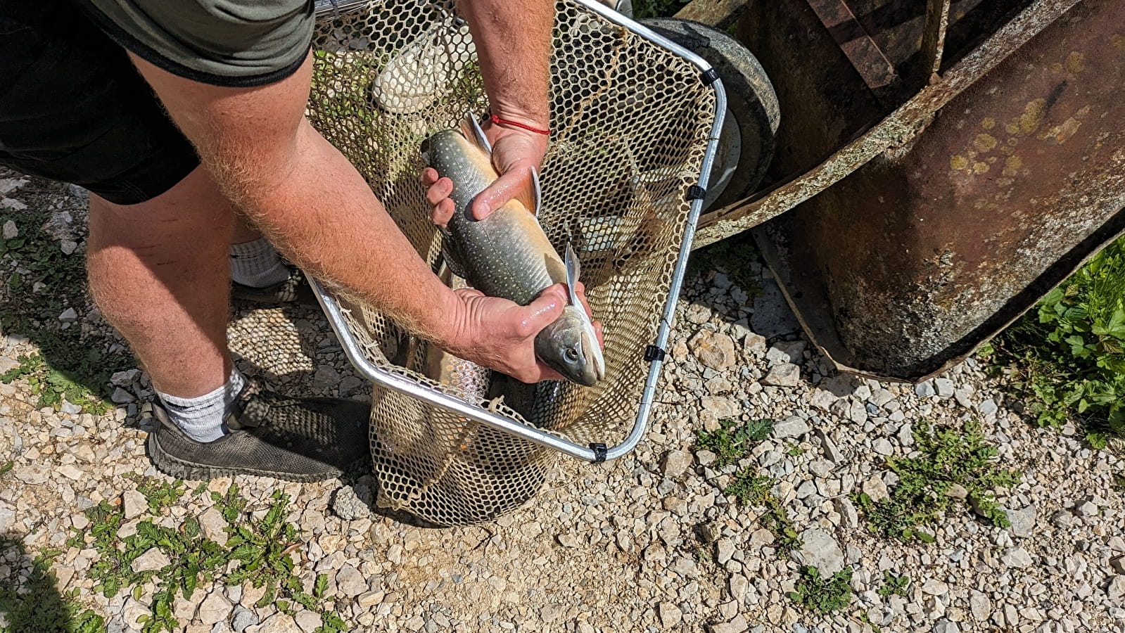 Cartes de pêche Doubs et Cusancin