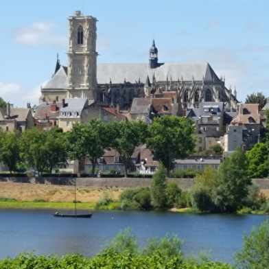 Visite commentée : La Cathédrale par Regards sur la Cathédrale
