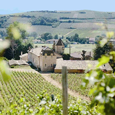 Château de Fuissé - Jean Jacques Vincent