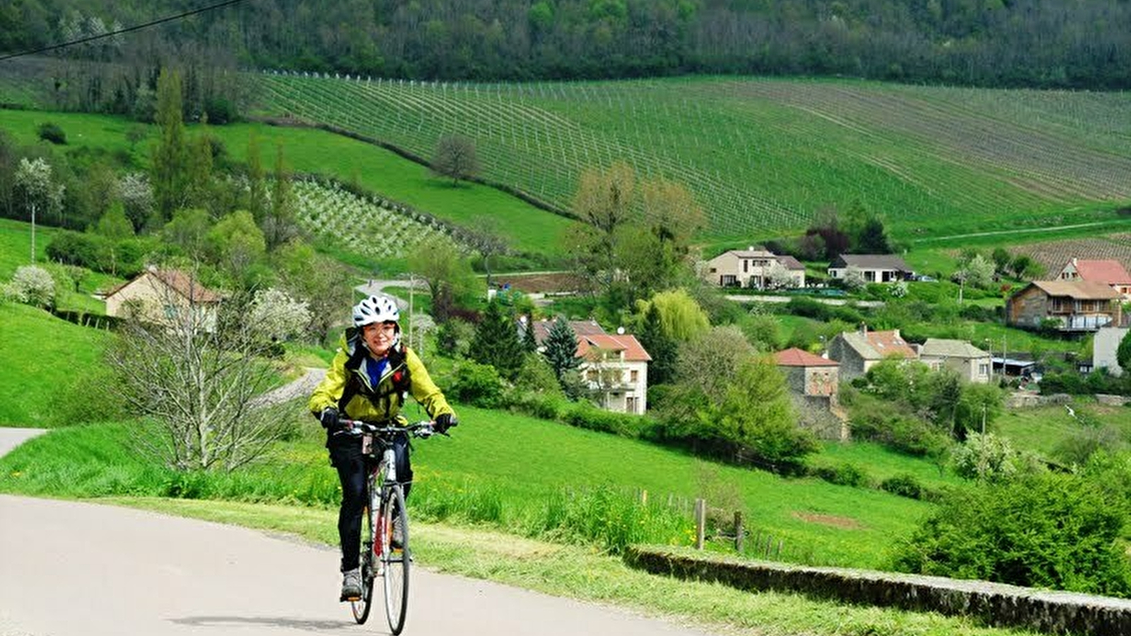 Bike and Wine Tours by Active Tours