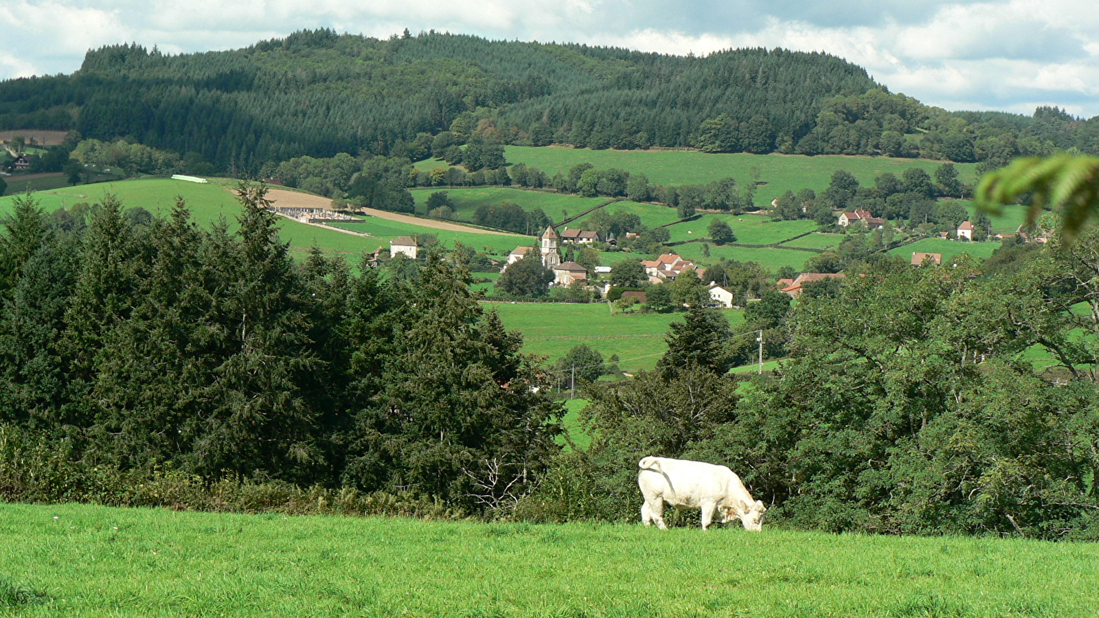 Le Tour de l'Argolay