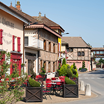 Itinérance L'Ain à Vélo - Entre Bresse & Dombes (2 jours) - THOISSEY