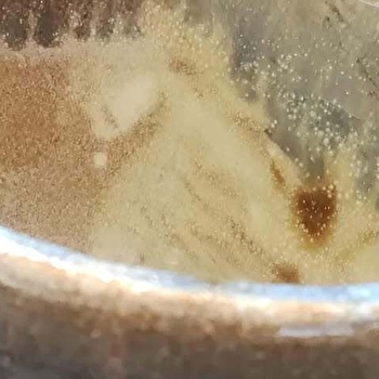 DECOUVERTE DE LA POTERIE : ABREUVOIR POUR OISEAUX - MENOU