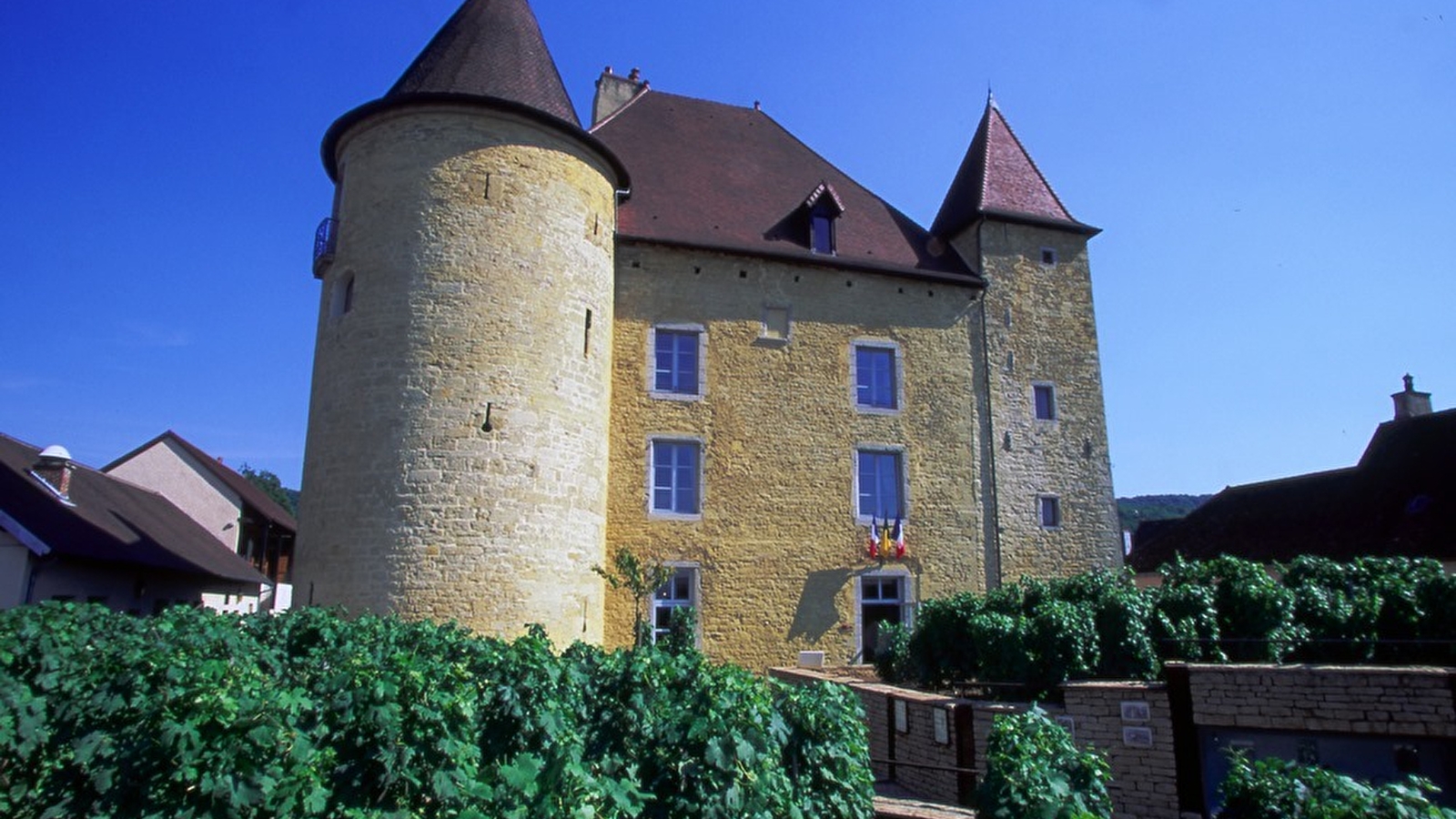 Musée de la Vigne et du Vin du Jura