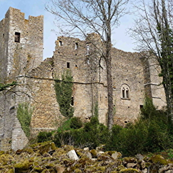 Château de Thil - VIC-SOUS-THIL