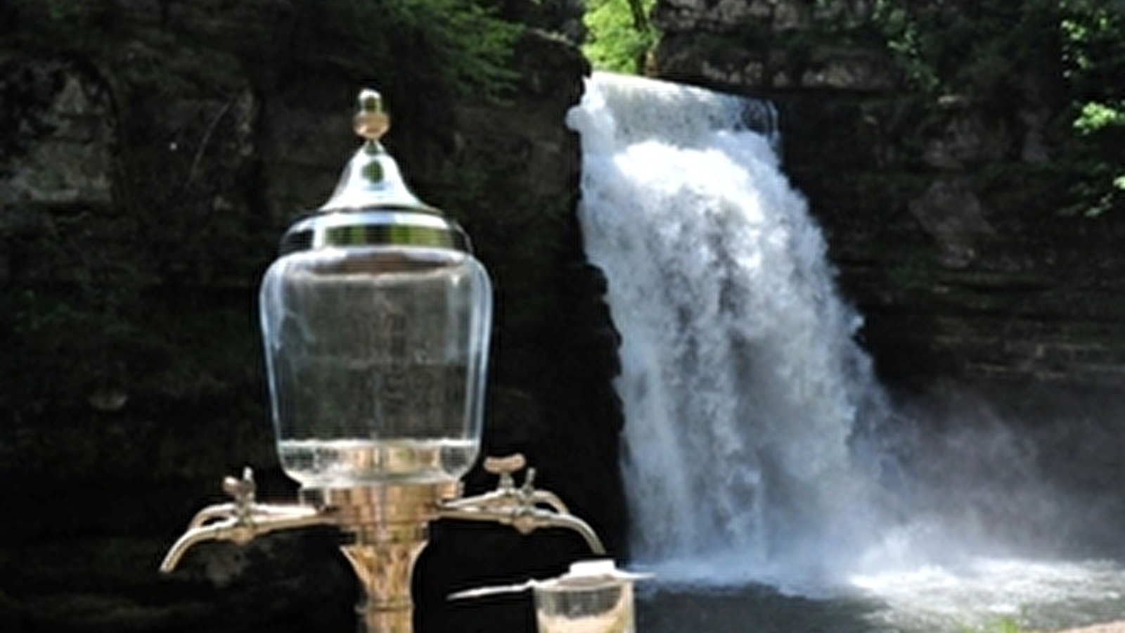 L'Absinthe - Restaurant du Saut du Doubs