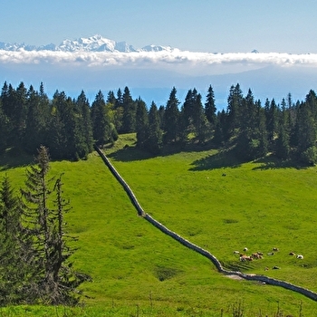 La Roche du Creux  - BOIS-D'AMONT