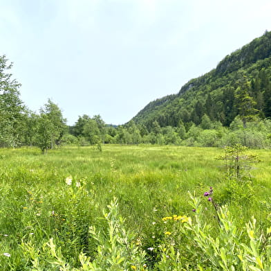 Tourbière de l'Entre Côtes du Milieu