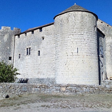  VISITE DU CHATEAU