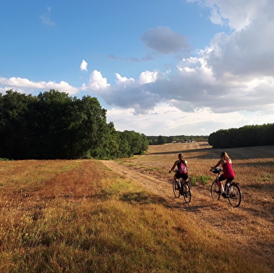 Location de vélos à assistance électrique à Cosne-Cours-sur-Loire