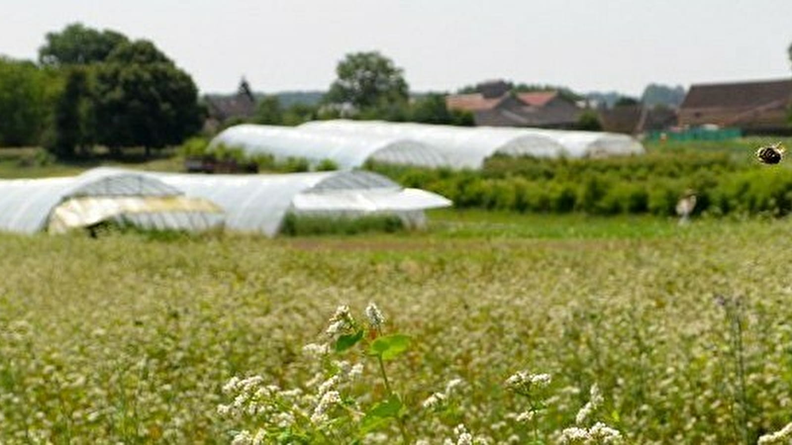 La Ferme aux Cailloux