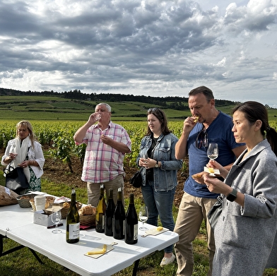 After Work autour des 1er crus de Beaune