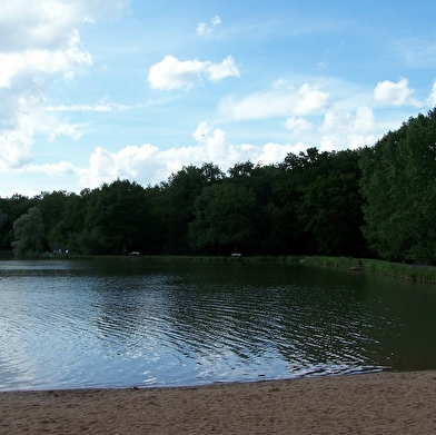 Baignade à la base de loisirs de l'Etang de la Chênaie