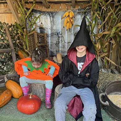 Halloween party à la ferme