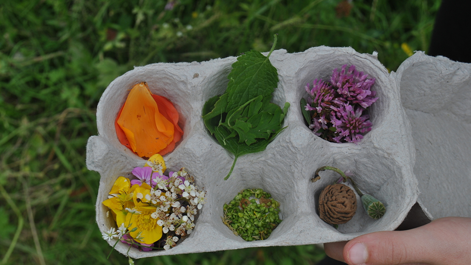 Atelier créatif en DUO enfant-Adulte encre de fleurs et de légumes
