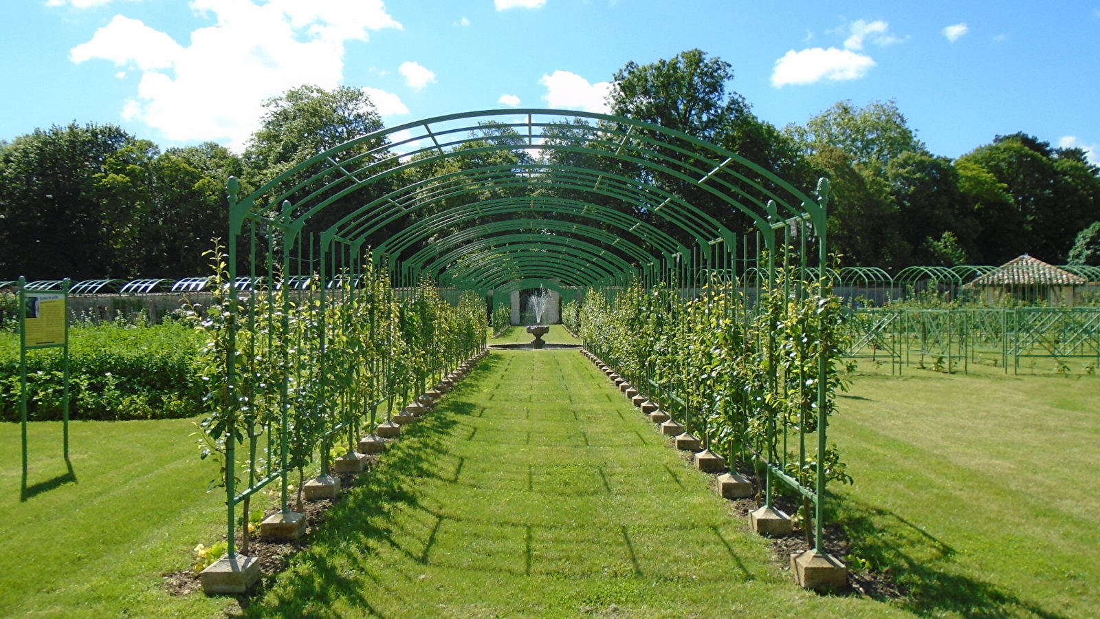 Rendez-vous aux Jardins au château de Montigny-sur-Aube