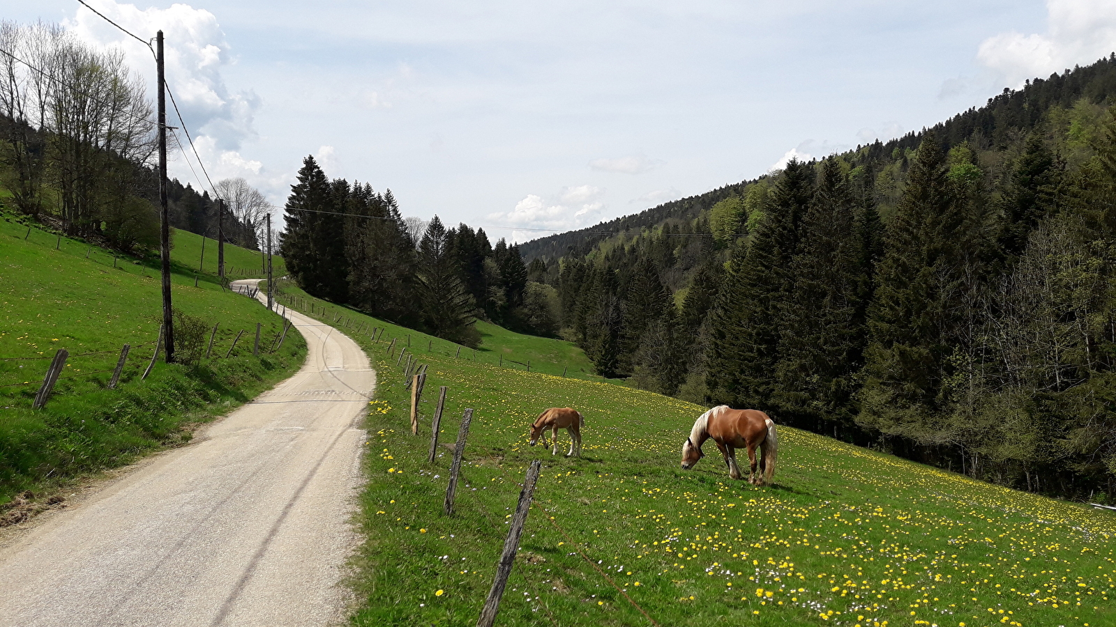 Tour du Grand Taureau