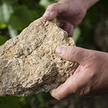 Beaune : Journées Européennes de l'archéologie - BEAUNE