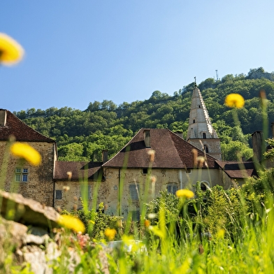 La Reculée de Baume-les-Messieurs