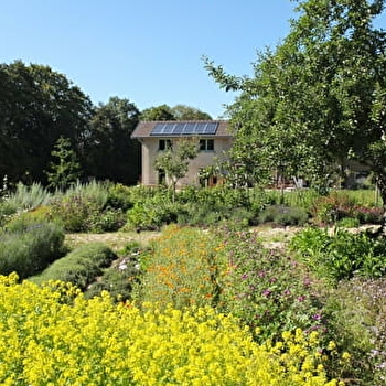 L'Atelier Sauvage - LANDRESSE
