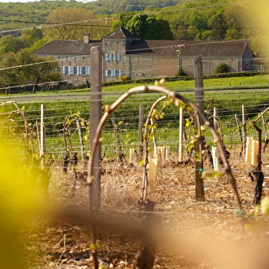 Château de Messey