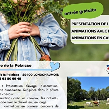 Au coeur de nos fermes jurassiennes - LONGCHAUMOIS