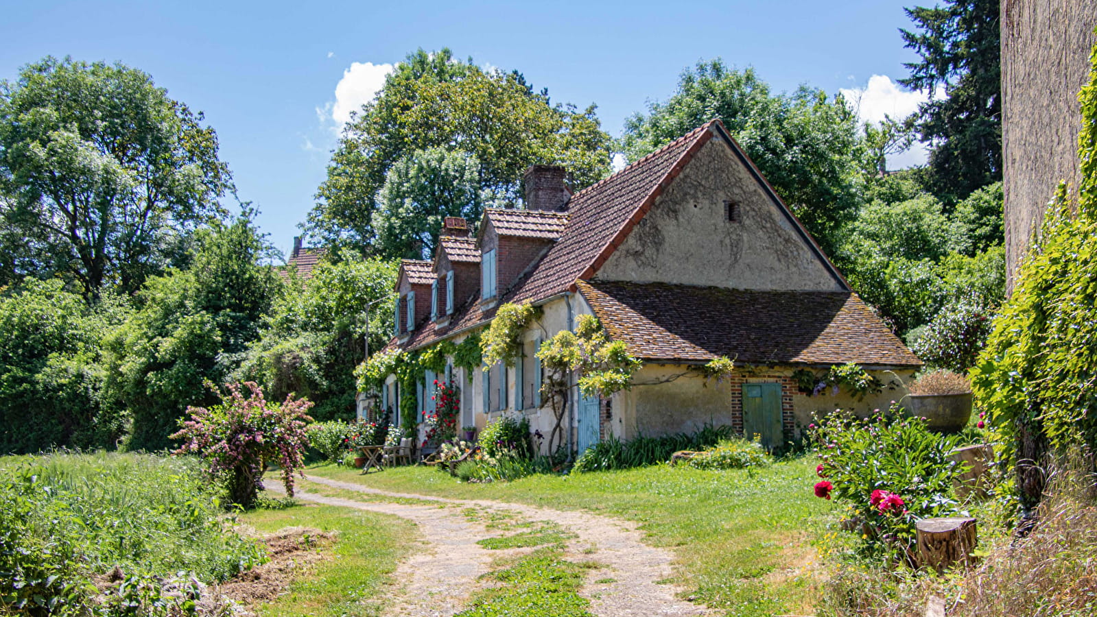  La Forêt du Sauvage