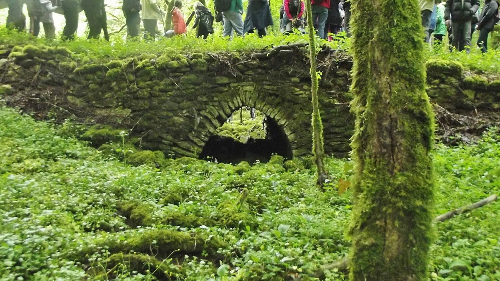 Sentier des Légendes 