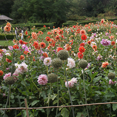 Jardins et parc du château de Barbirey