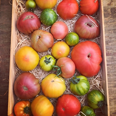 Les Légumes de Vincent