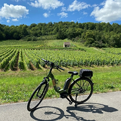 Location de vélos - Buxy 