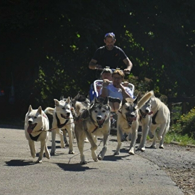 Free sled - Chiens de traîneaux / kart, cani-rando et cani-trotinette