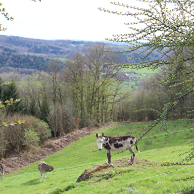 Circuit des Deux Chapelles