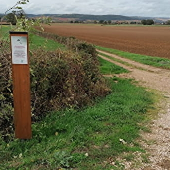 Lieu de parachutage - Seconde Guerre mondiale - BRESSE-SUR-GROSNE