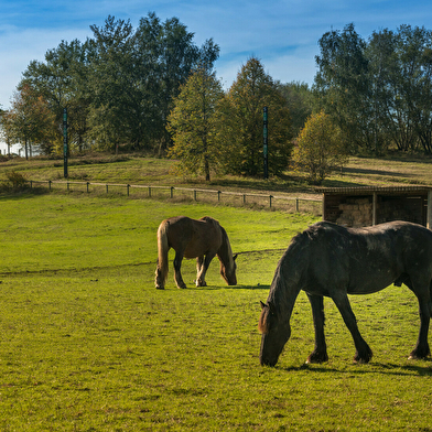 Parcs miniers Maugrand et Saint-Louis