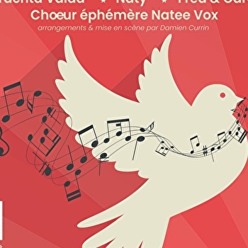 Swing Peace Maker - VESOUL