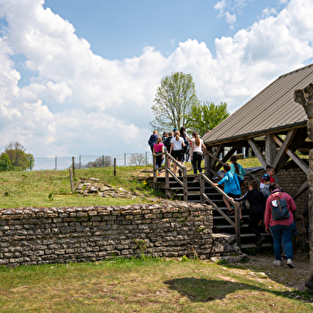 Visite guidée Vestiges - ALISE-SAINTE-REINE