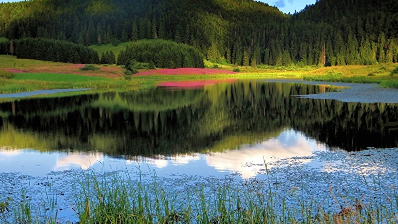 Lac de l'Embouteilleux