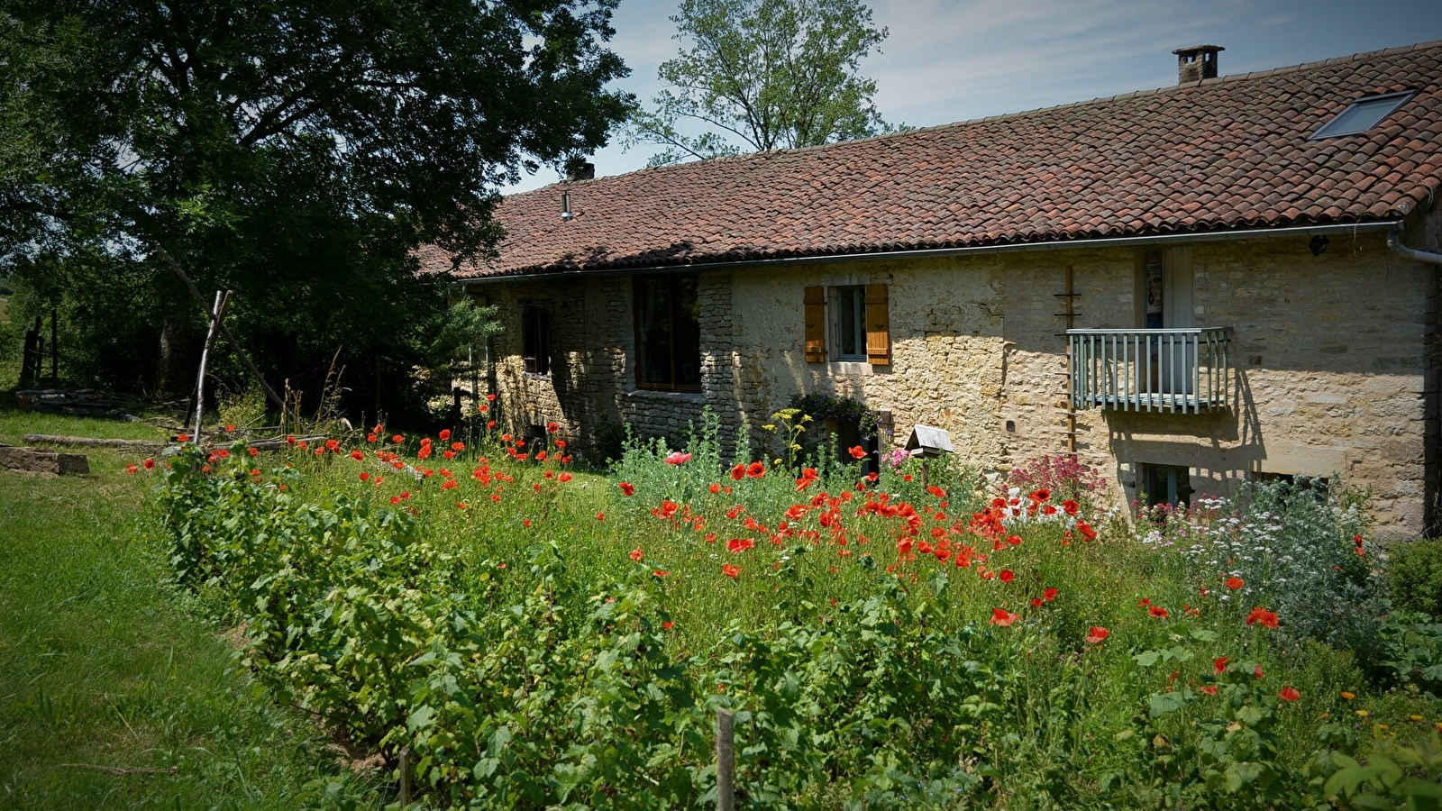 Gîte de l'Arbre-Lune