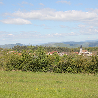 Sur les Pas des Chartreux de Sélignac